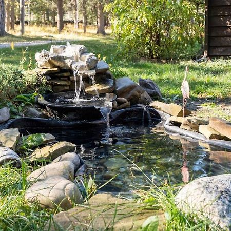 Rustic Cozy Cabin With Hot Tub Bragg Creek Exteriér fotografie